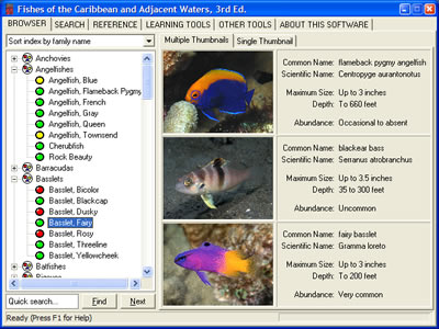 Species Browser