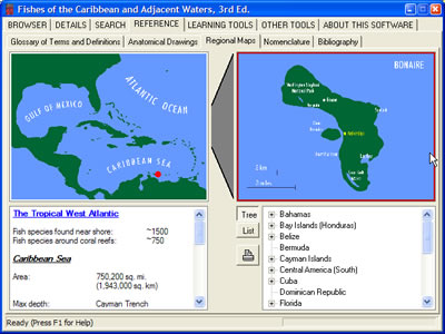 Regional Maps